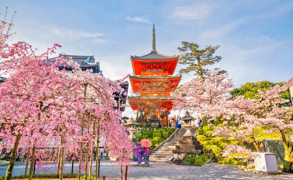 japan tour packages from kerala
